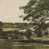 Page link: Hothfield Common - a unique heathland environment
